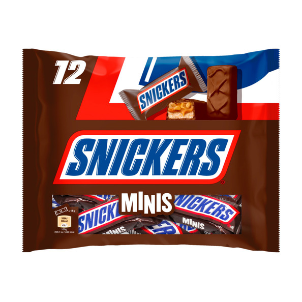 Snickers mini 227gr. a24