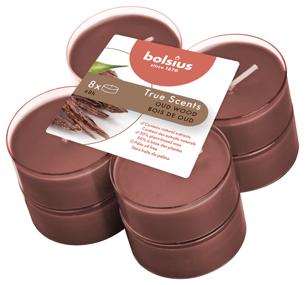 Bolsius Maxilichten clear cup 8u True Scents Oud Wood