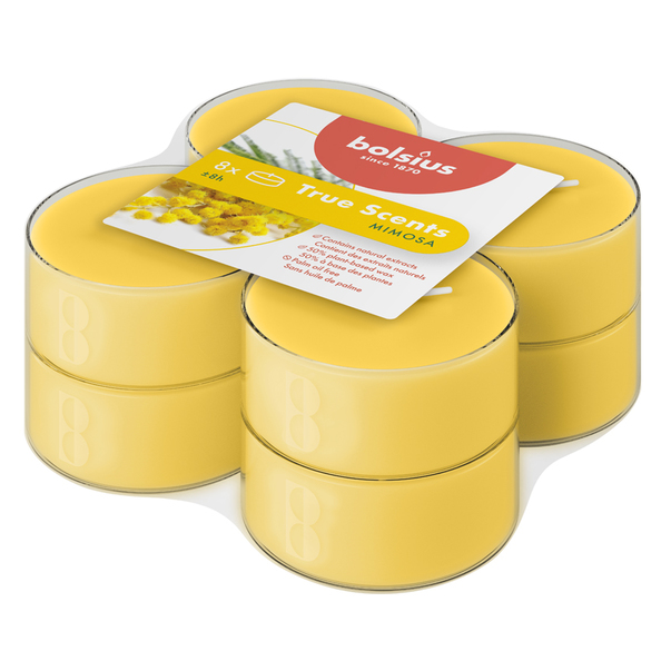 Bolsius Maxilichten clear cup 8u True Scents Mimosa