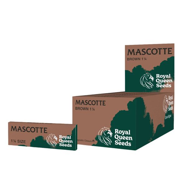Mascotte Royal Queen Seeds brown 1 1/4 size 50 vel