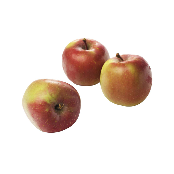 Jonagold appels verpakt 6 stuks