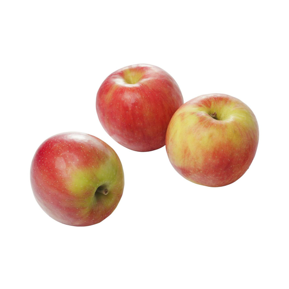 Elstar appels verpakt 6 stuks