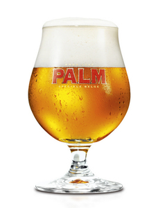 Palm speciale bolglas 25 cl