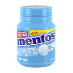 Mentos gum mighty mint bottle 42 stukjes