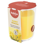 Bolsius Geurglas 97/85 True Scents Mimosa