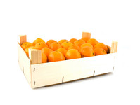 Pers sinaasappelen 14 kg