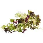 Mesclun slamix 1 kg