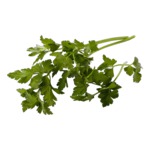 Bladpeterselie 75 - 80 gram