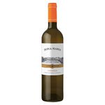 Julio bastos dona maria viognier 0.75 liter