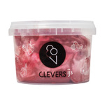 Clevers rood fruit ijs 500ml. a6
