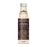 Froziq joygelato topping koffie fles 1 kg