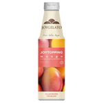 Froziq joygelato topping mango fles 1 kg